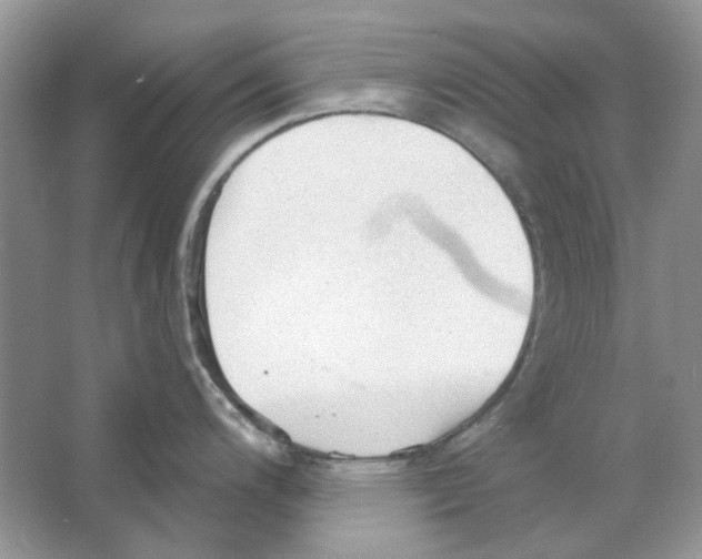 X0000063481200200602172014
