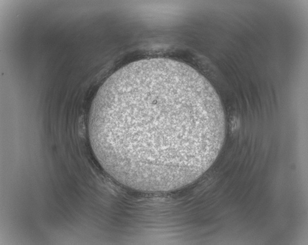 X0000063481204200602172014