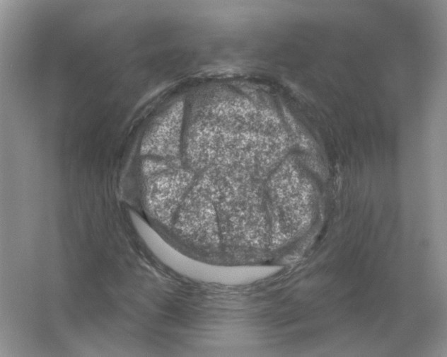 X0000063481206200602172014