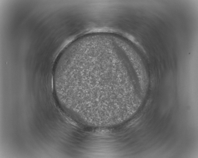 X0000063481221200602172014