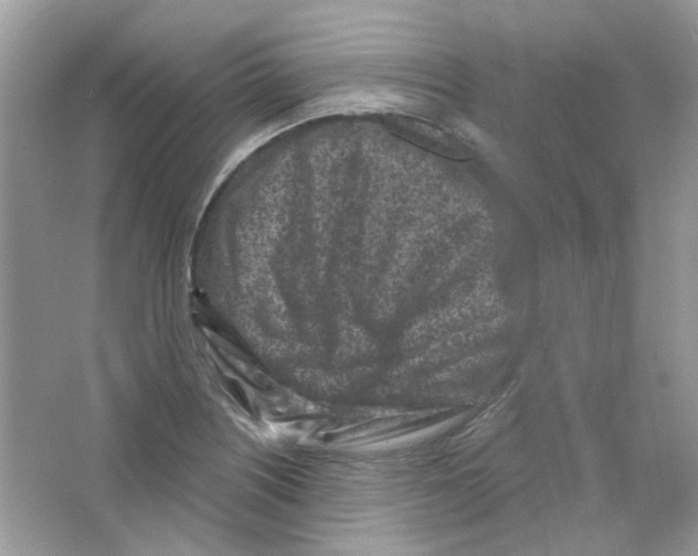 X0000063481226200602172014
