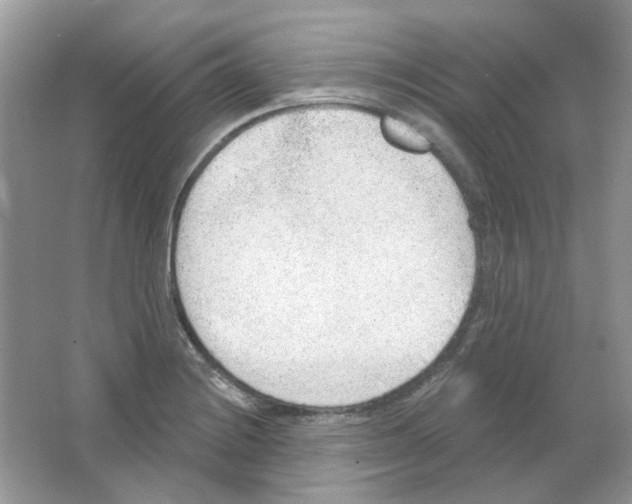 X0000063481228200602172014