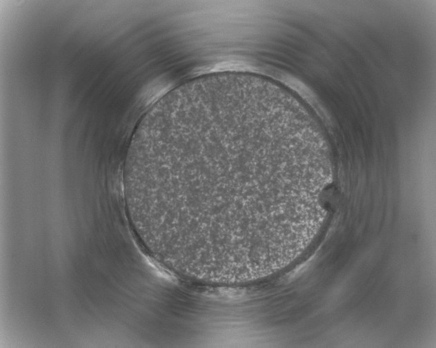X0000063481241200602172014