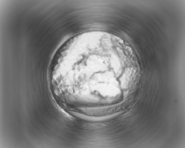X0000063481243200602172014