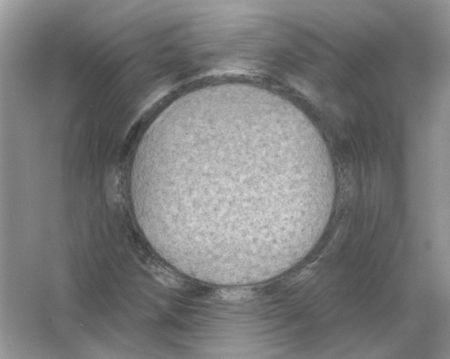 X0000063481258200602172013