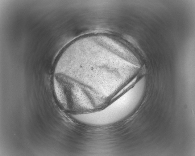 X0000063481260200602172013