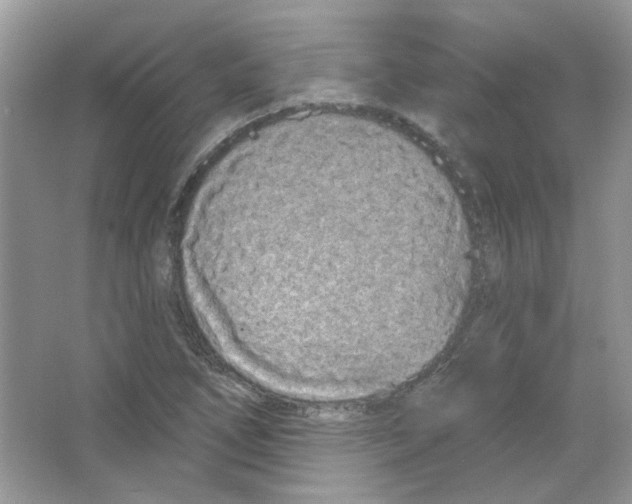 X0000063481266200602172013