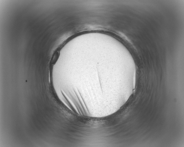 X0000063481269200602172013