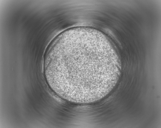 X0000063481276200602172013