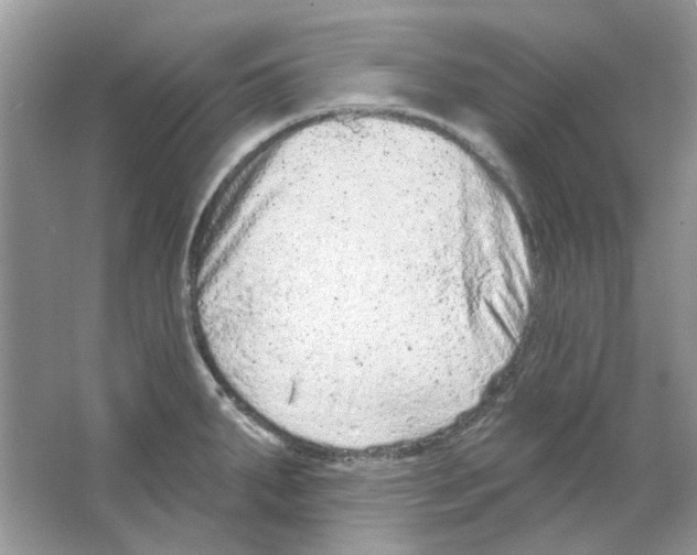 X0000063481287200602172013