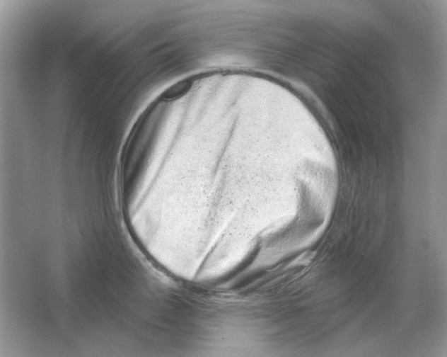 X0000063481295200602172013