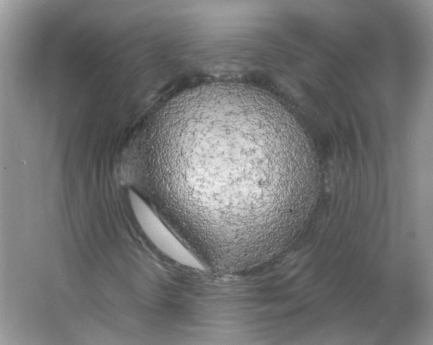 X0000063481298200602172012