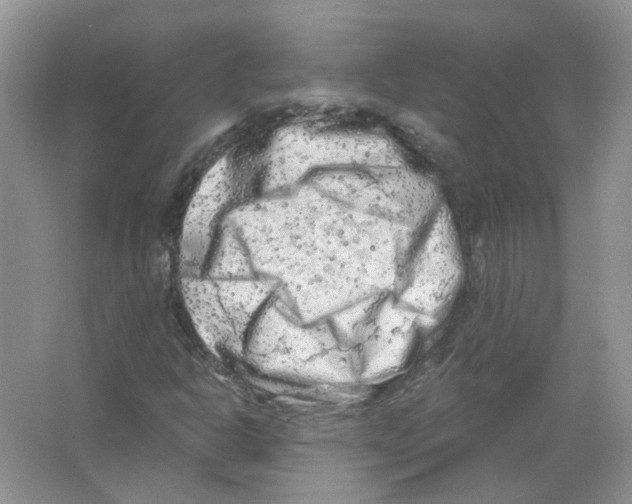 X0000063481302200602172012