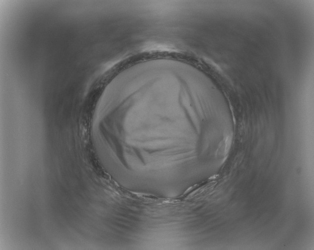 X0000063481303200602172012