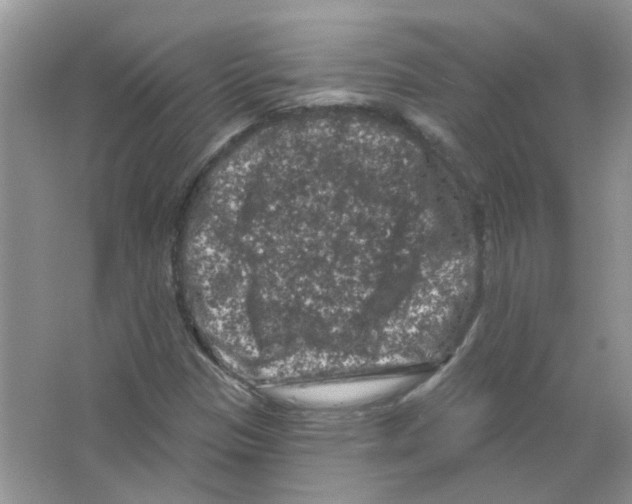 X0000063481305200602172012