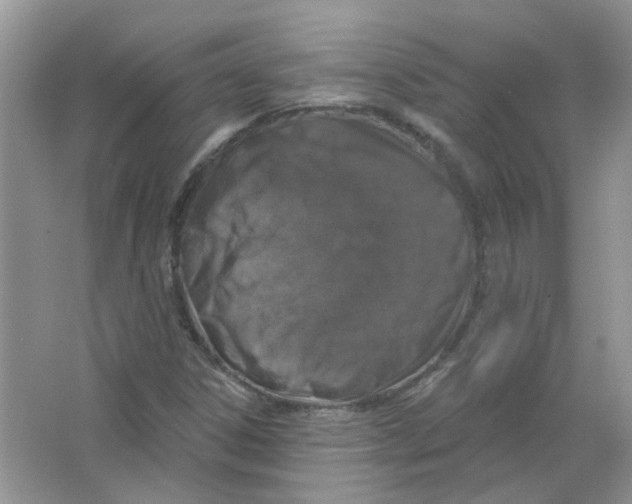 X0000063481306200602172012