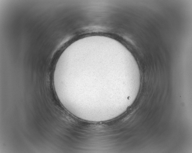 X0000063481309200602172012