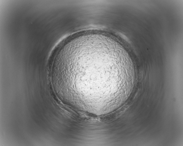 X0000063481310200602172012