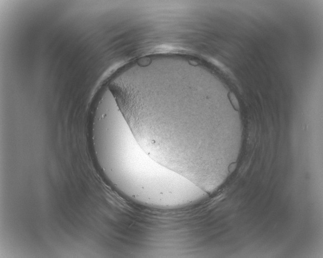 X0000063481314200602172012