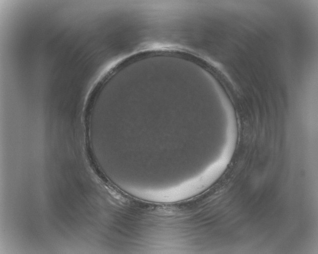 X0000063481319200602172012