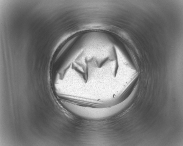 X0000063481328200602172012