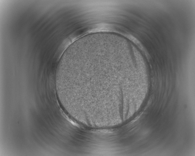 X0000063481337200602172012