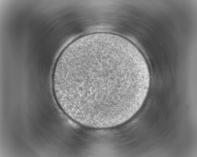 X0000063481341200602172013