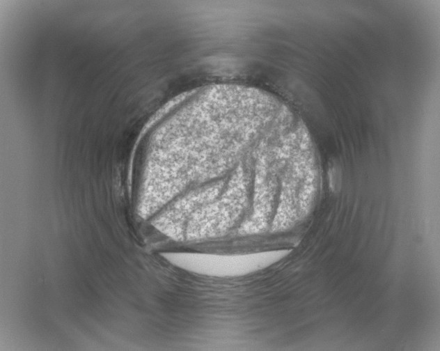 X0000063481347200602172012