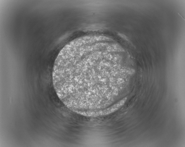 X0000063481350200602172012