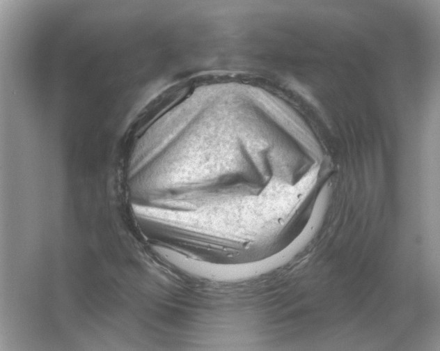 X0000063481352200602172012
