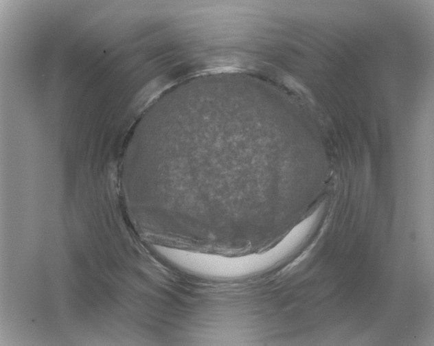 X0000063481353200602172012
