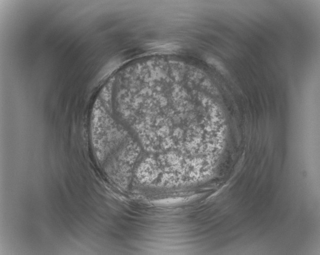 X0000063481354200602172012