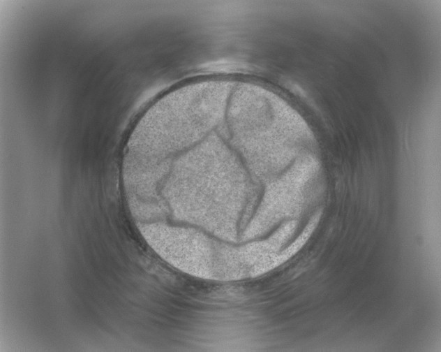 X0000063481358200602172011