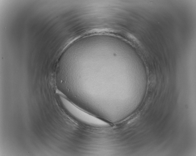 X0000063481361200602172011