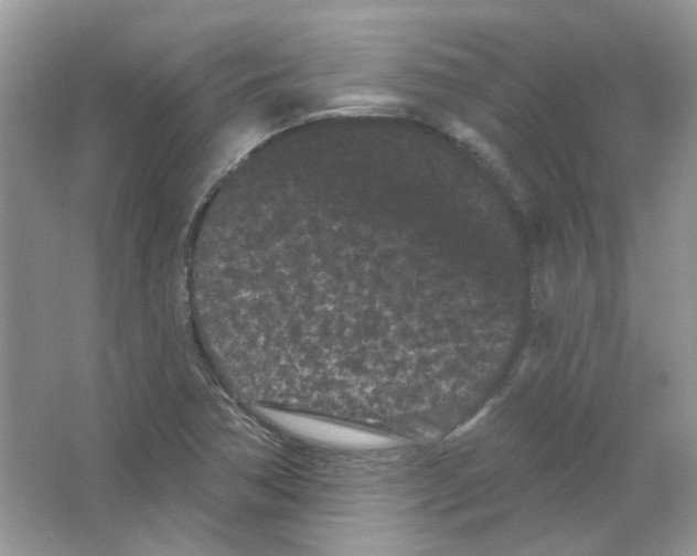 X0000063481362200602172011