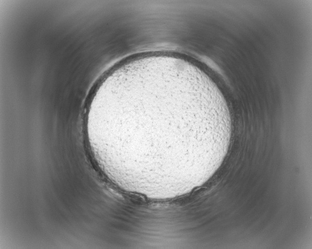 X0000063481364200602172011