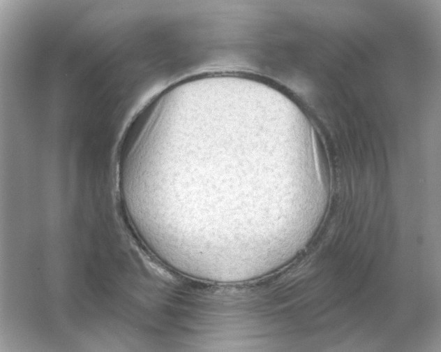 X0000063481366200602172011