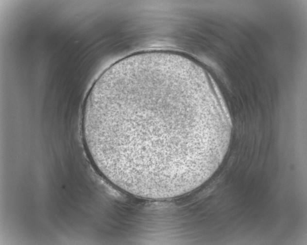 X0000063481374200602172011