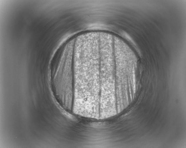 X0000063481376200602172011