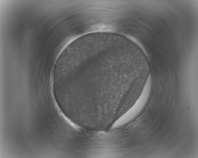 X0000063481383200602172011