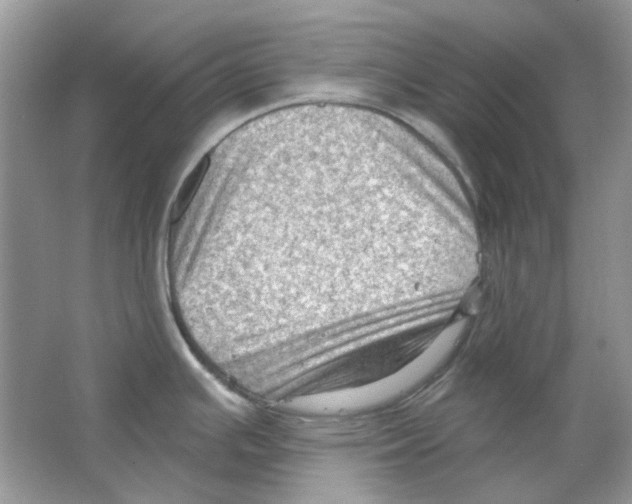 X0000063481391200602172011