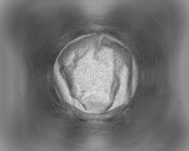 X0000063481397200602172010
