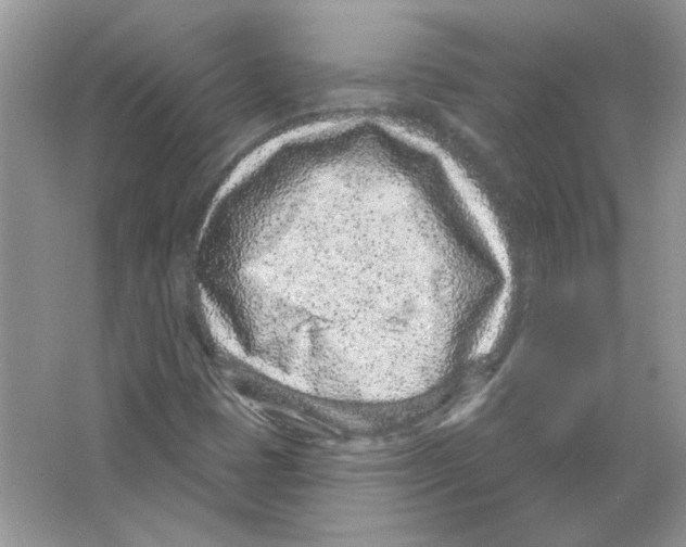 X0000063481401200602172010