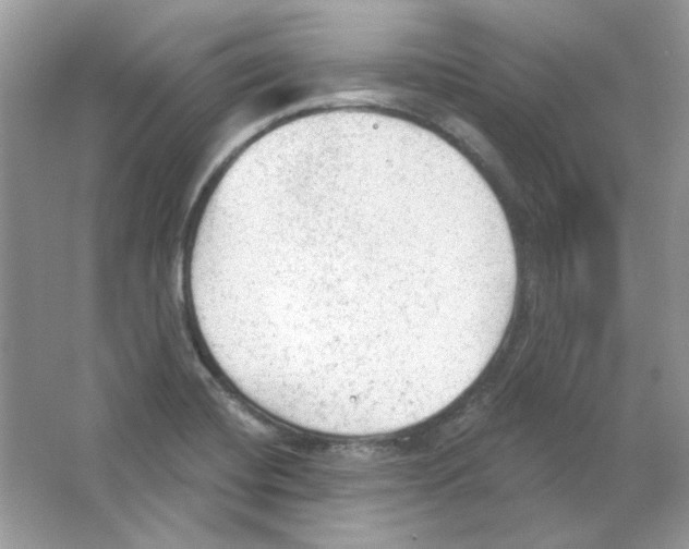 X0000063481420200602172011