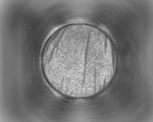 X0000063481424200602172011