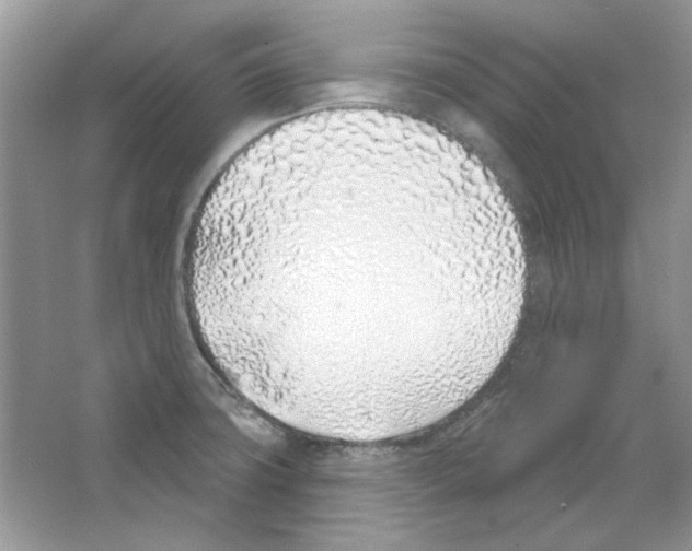 X0000063481427200602172011