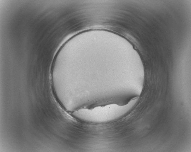 X0000063481428200602172011
