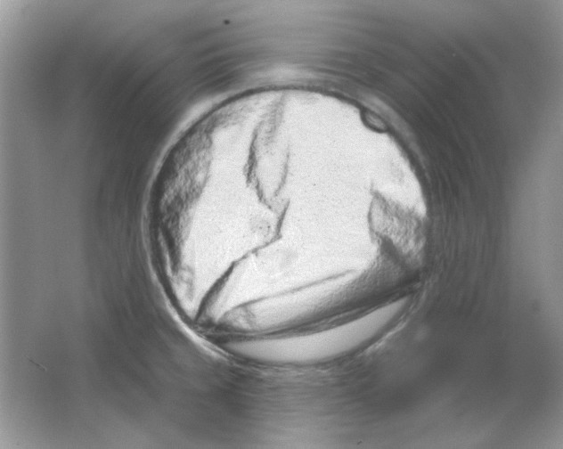 X0000063481429200602172011
