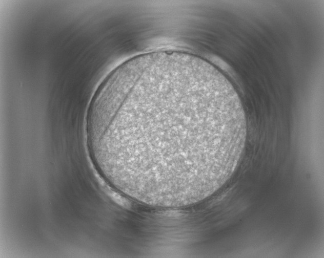 X0000063481431200602172011