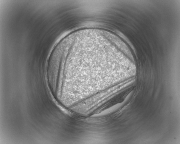 X0000063481437200602172011